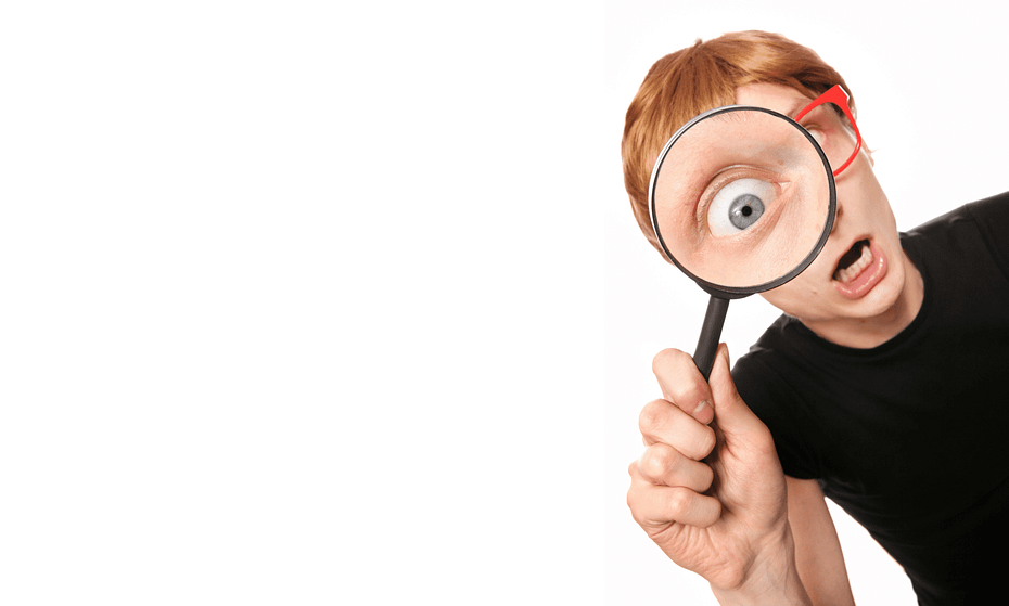 Maginfier Search Visibility