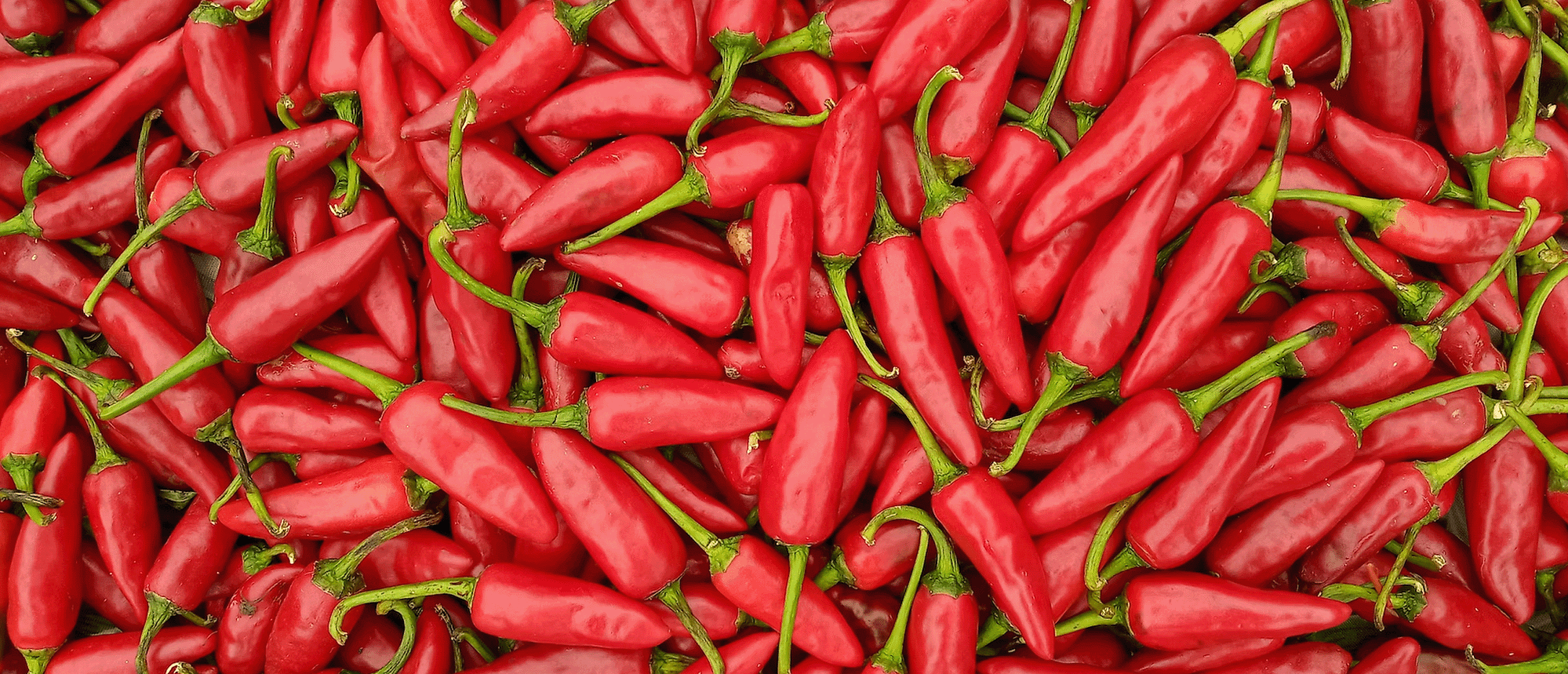 Lots of red chilli peppers piled on top of each other.