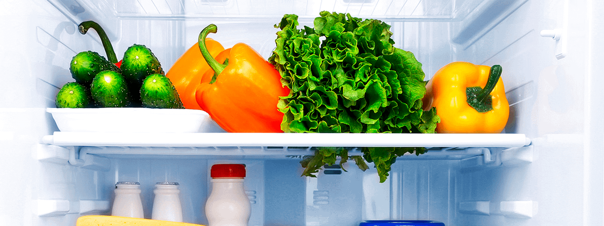 A new fridge freezer shelf full of fresh vegetables
