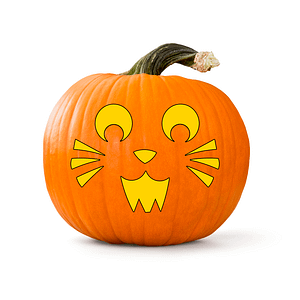 Cute Cat Pumpkin Carving