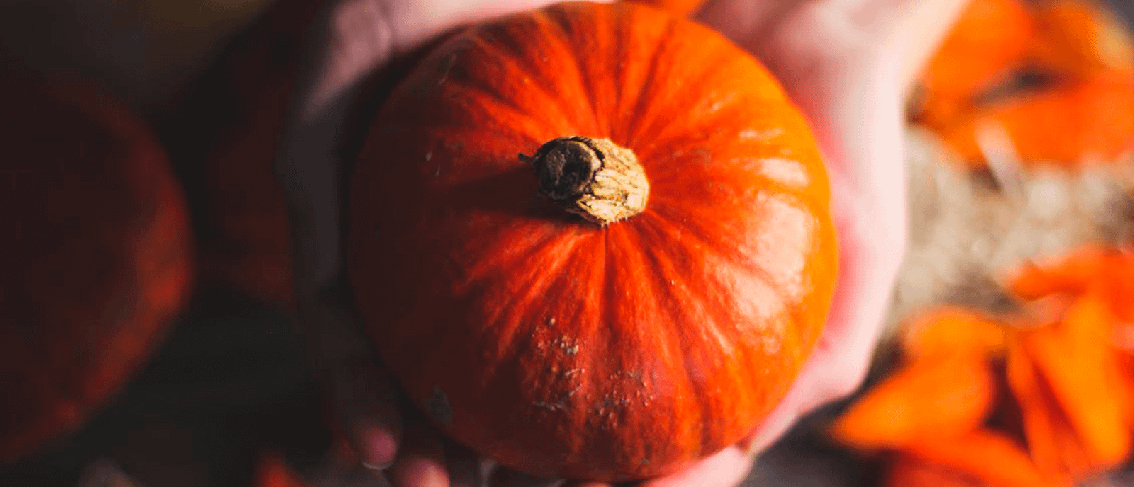 Person holding a small pumpkin in both hands.