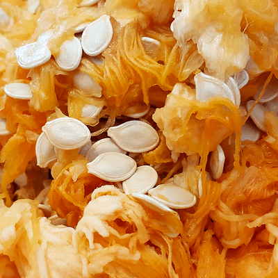 Pumpkin Guts and seeds