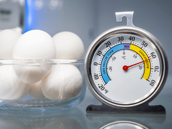A close up of a fridge shelf with a bowl of eggs and a fridge thermometer reading 17°C.