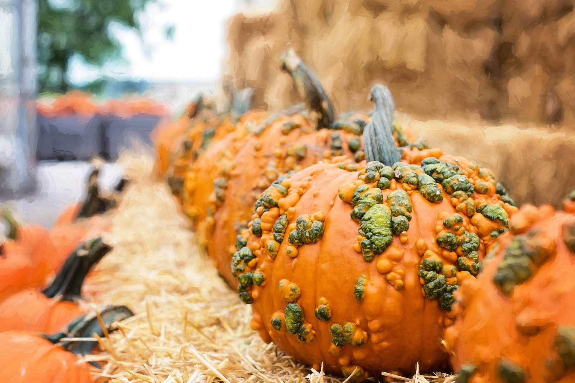 National Pumpkin Day - Food Fun and Crafts - Appliance City