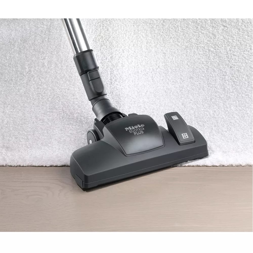 Miele-blizzardcx1-catdog2023-4