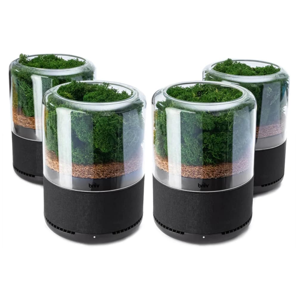 Briiv-triplefilternaturalairpurifier-4pack