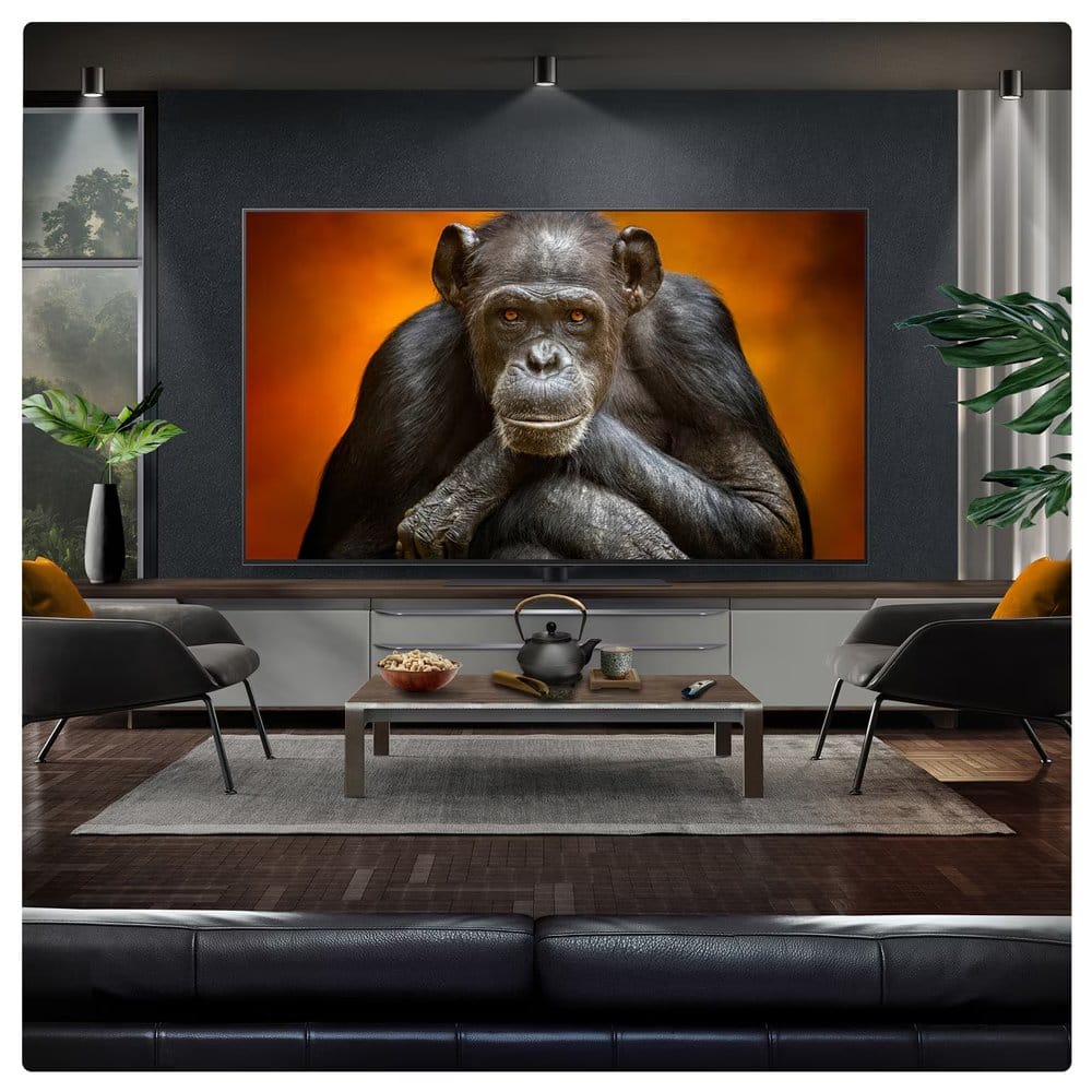 LG-tv-2025-OLED48G56LS-8