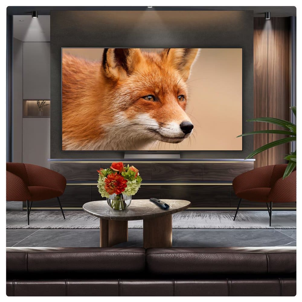 LG-tv-2025-OLED48C56LB-8