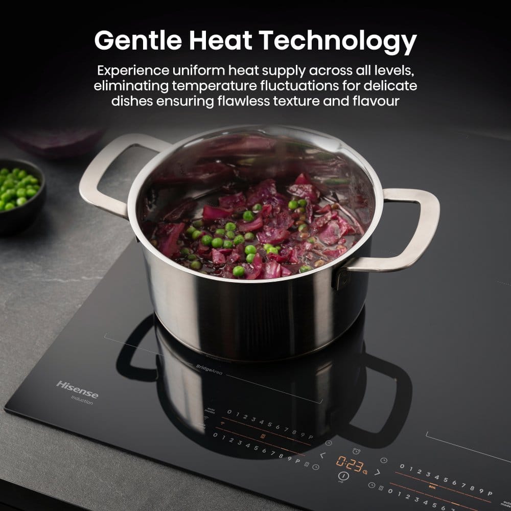 Hisense-HI6442BSCWF-22