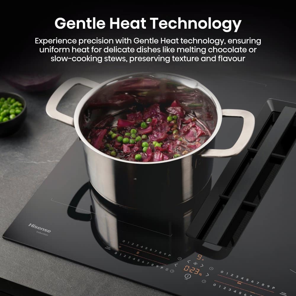 Hisense-HEH6432BSCWF-9