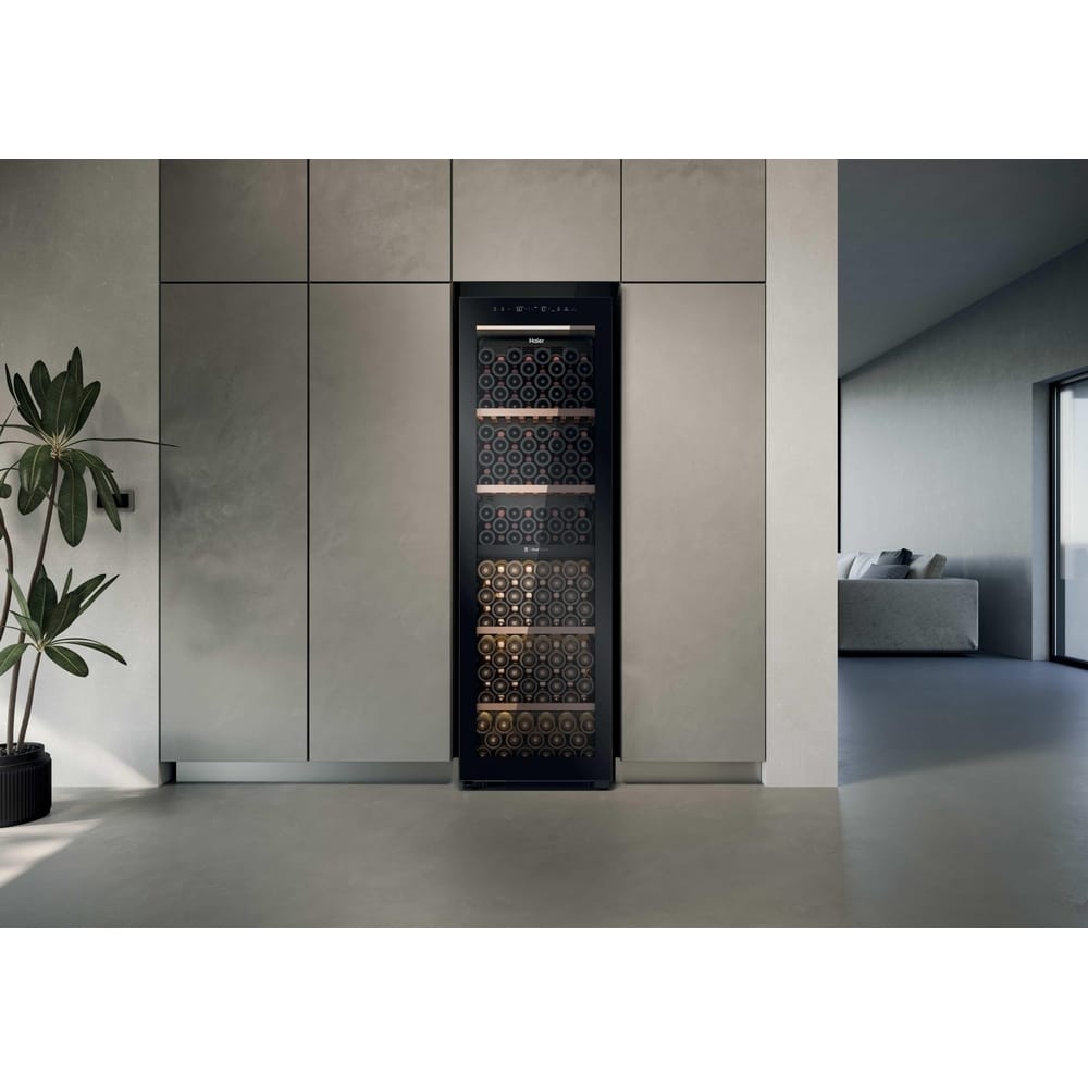 Haier-HWS201GDFH1K-10