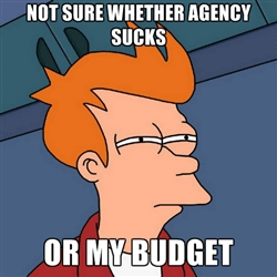 Not sure if agency sucks or my budget