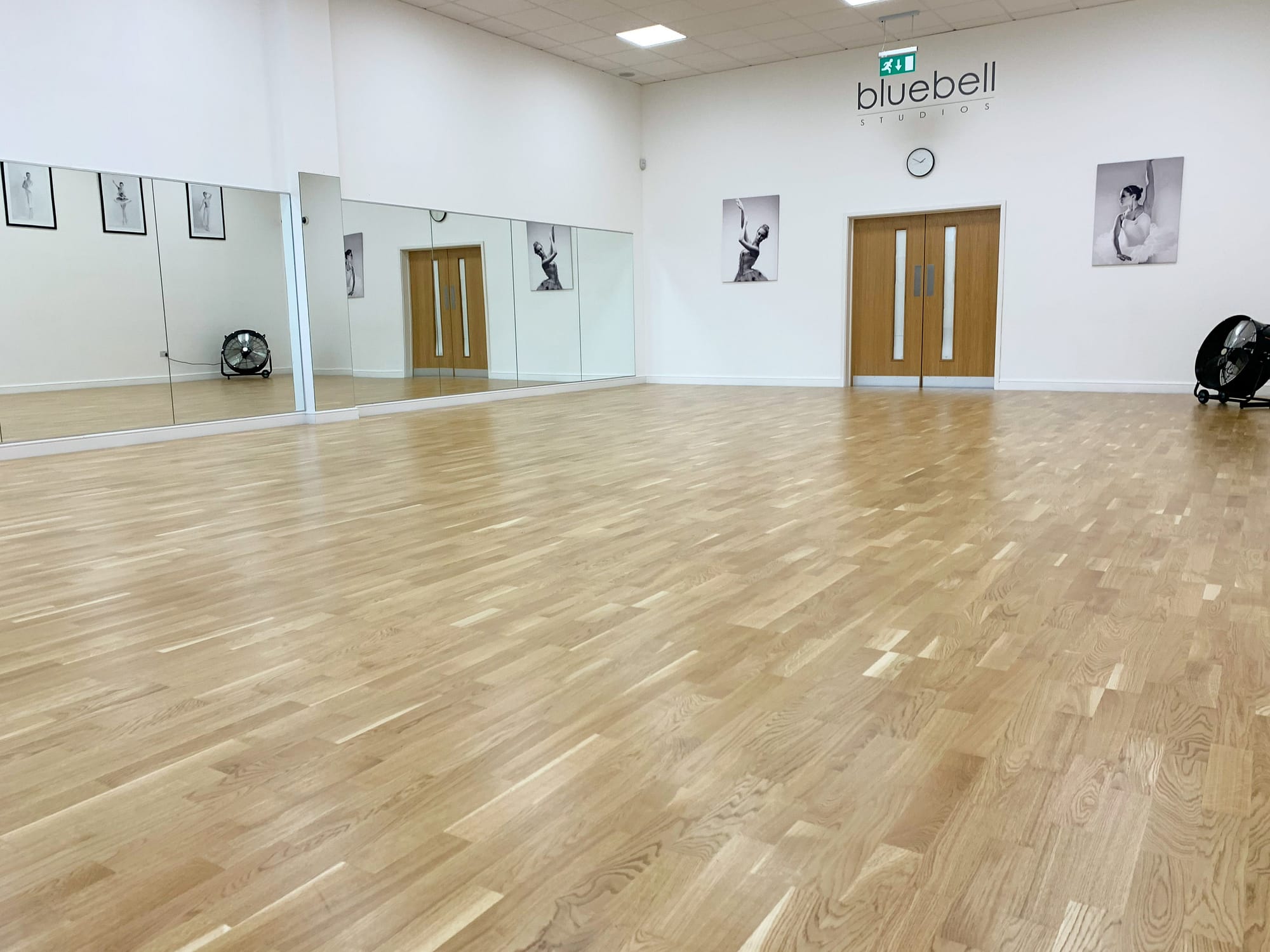 Meadow Wood Sprung Floor at Bluebell Ballet Studios