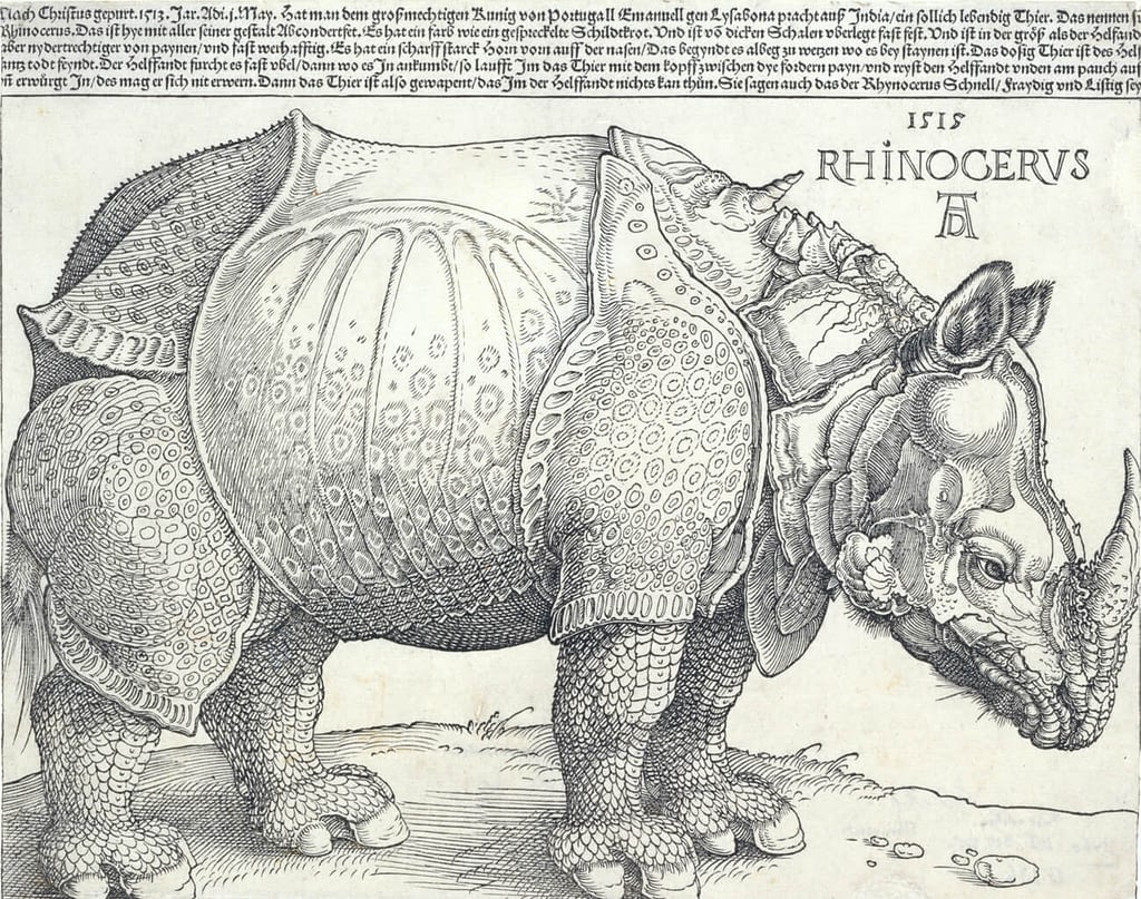 Durer's 16th Century Rhino