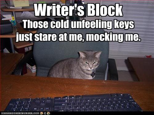 Writer's Block Cat